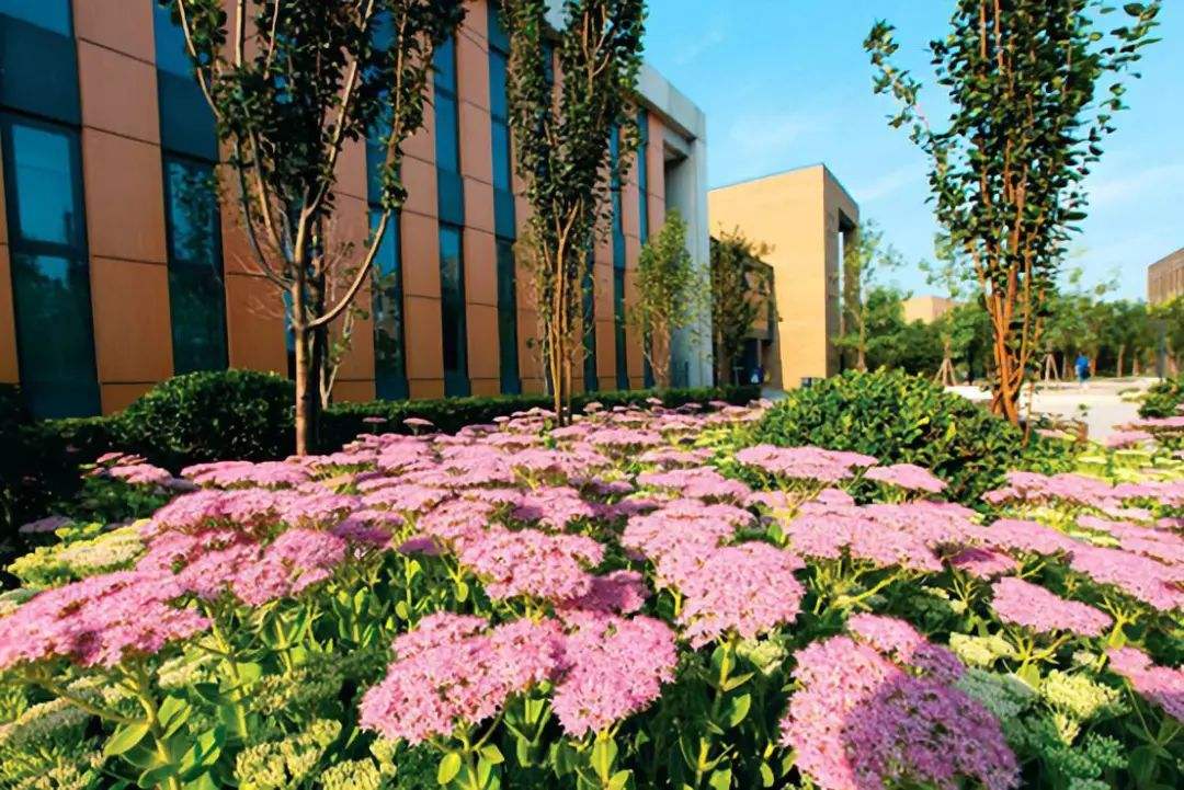 樂山廣播電視大學五通分?！鸽姶蟆?></a></div>
          <dl>
              <dt><a href=