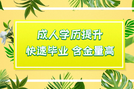 統(tǒng)考專升本畢業(yè)之后是第一學歷嗎