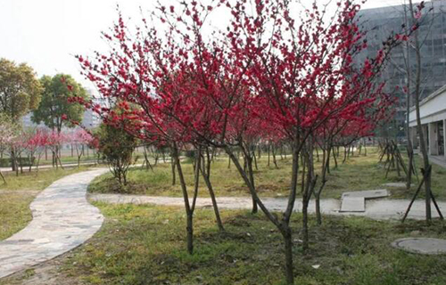 1625818164867701.jpg QQ截圖20210703171906.jpg