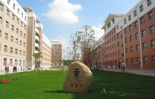 長(zhǎng)春醫(yī)學(xué)高等?？茖W(xué)校2021年招生計(jì)劃