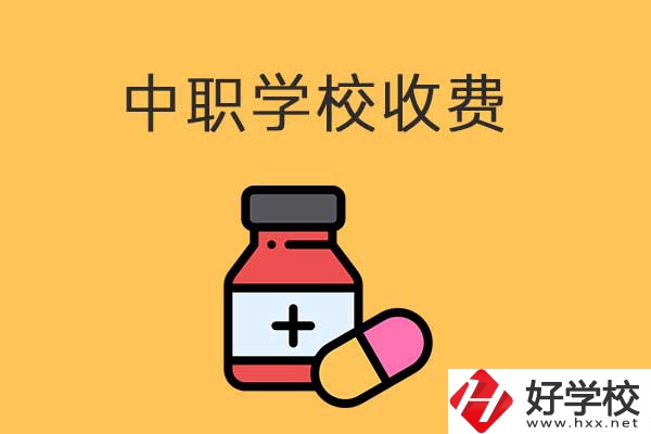 衡陽的中職學校怎么收費的？費用貴不貴？