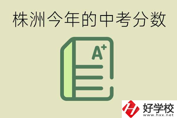 株洲今年中考多少分能上高中？沒考上有什么選擇？