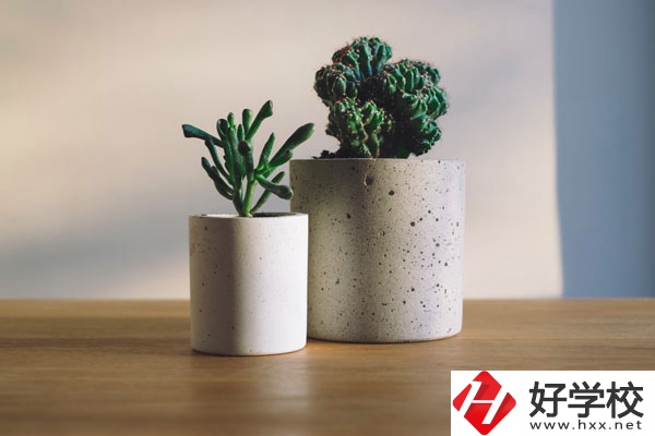 芷江民族職業(yè)中專招生專業(yè)有哪些？收費(fèi)標(biāo)準(zhǔn)如何？