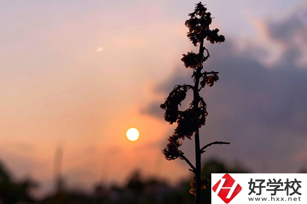 邵陽哈博職業(yè)中專學(xué)校好不好？有什么辦學(xué)特色？