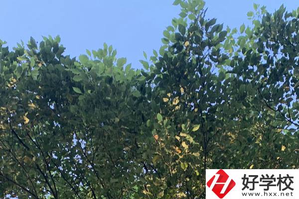 邵陽職業(yè)技術(shù)學(xué)校就業(yè)好不好？值得報考嗎？