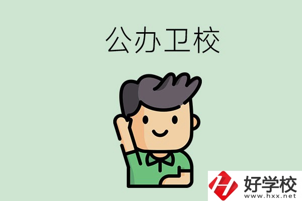湖南的公辦衛(wèi)校有哪些？這兩所學(xué)校值得推薦！