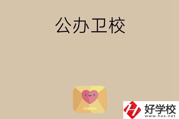 想在湖南上公辦衛(wèi)校？這所學(xué)校值得一看