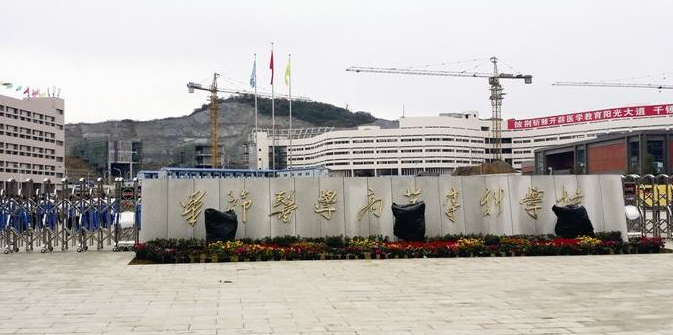 畢節(jié)醫(yī)藥高等?？茖W(xué)校校門