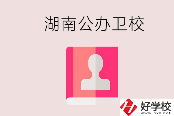 想在湖南上公辦衛(wèi)?？梢赃x擇哪些學(xué)校？