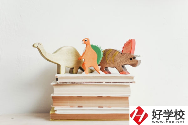 懷化啟航衛(wèi)生學(xué)校辦學(xué)地址在哪兒？