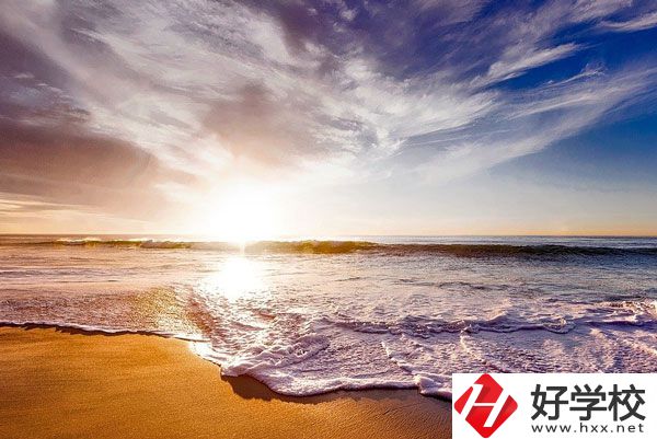 桃源縣機電成人中專學(xué)校有什么專業(yè)？學(xué)生滿意度如何？