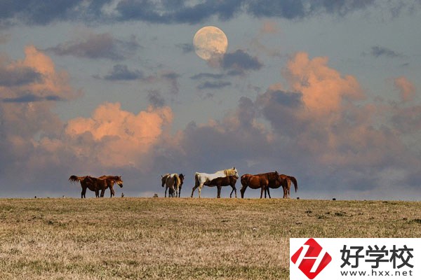 邵陽工業(yè)學(xué)校是公辦還是民辦？有什么優(yōu)勢？