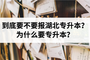 到底要不要報(bào)湖北專升本？為什么要專升本？