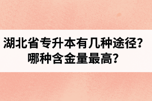 湖北省專升本有幾種途徑？哪種含金量最高？