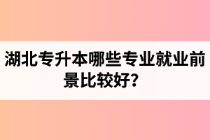 湖北專升本哪些專業(yè)就業(yè)前景比較好？