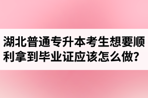 湖北普通專升本考生想要順利拿到畢業(yè)證應(yīng)該怎么做？