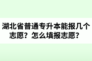 湖北省普通專(zhuān)升本能報(bào)幾個(gè)志愿？怎么填報(bào)志愿？