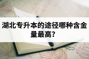 湖北普通專升本英譯漢段落翻譯分析應該怎么做？