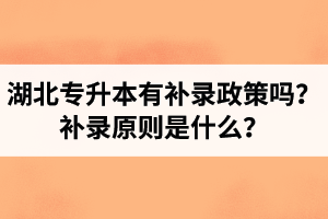 湖北專升本有補(bǔ)錄政策嗎？補(bǔ)錄原則是什么？