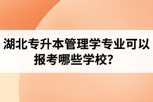 湖北專升本管理學(xué)專業(yè)可以報(bào)考哪些學(xué)校？屬于管理學(xué)的專業(yè)有哪些？