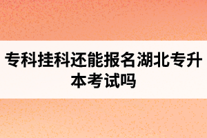 專科掛科還能報(bào)名湖北專升本考試嗎？在哪里能獲取最新的專升本資訊？