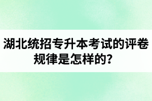 湖北統(tǒng)招專升本考試的評卷規(guī)律是怎樣的？怎么避免丟失細節(jié)分？