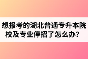 想報(bào)考的湖北普通專升本院校及專業(yè)停招了怎么辦？