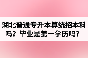 湖北普通專升本算統(tǒng)招本科嗎？專升本學歷是第一學歷嗎？