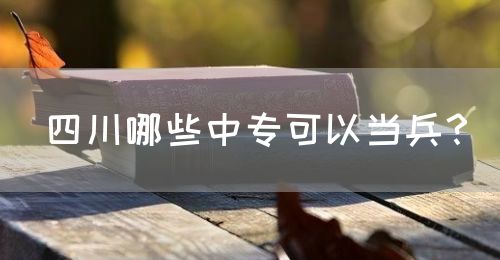 四川哪些中?？梢援?dāng)兵？(圖1)