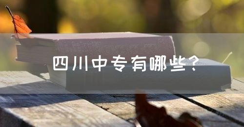 四川中專有哪些？(圖1)