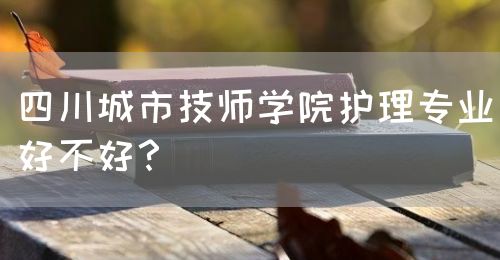 四川城市技師學院護理專業(yè)好不好？(圖1)