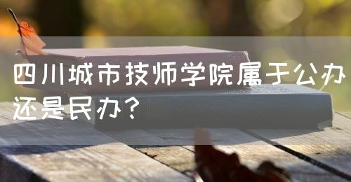 四川城市技師學(xué)院屬于公辦還是民辦？(圖1)