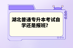 湖北普通專升本考試自學(xué)還是報(bào)班？