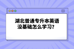 湖北普通專升本英語(yǔ)沒(méi)基礎(chǔ)怎么學(xué)習(xí)？