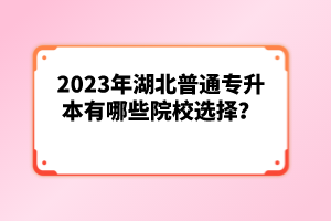 2023年湖北普通專升本有哪些院校選擇？