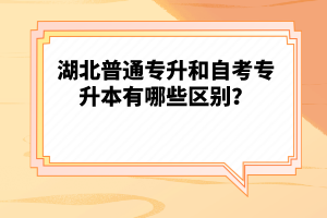 湖北普通專升和自考專升本有哪些區(qū)別？