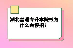 湖北普通專升本院校為什么會停招？