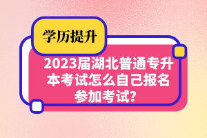 2023屆湖北普通專升本考試怎么自己報名參加考試？