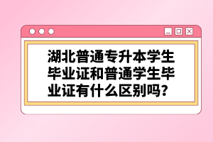 湖北普通專升本學(xué)生畢業(yè)證和普通學(xué)生畢業(yè)證有什么區(qū)別嗎？