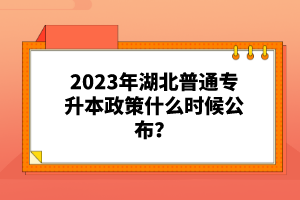 2023年湖北普通專升本政策什么時候公布？