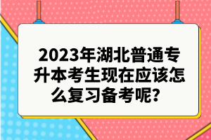 2023年湖北普通專(zhuān)升本考生現(xiàn)在應(yīng)該怎么復(fù)習(xí)備考呢?