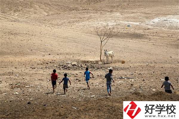 張家界少數(shù)民族加分政策是什么？中專升大專加分嗎？