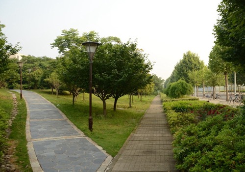 1637568512586795.jpg 衛(wèi)生學校單招.jpg