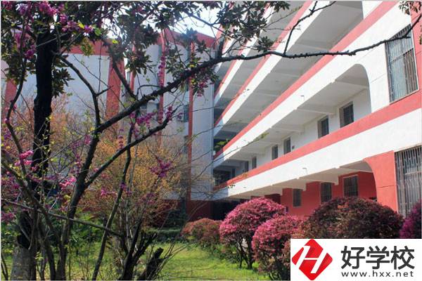 婁底有哪些技校？哪一所比較好？
