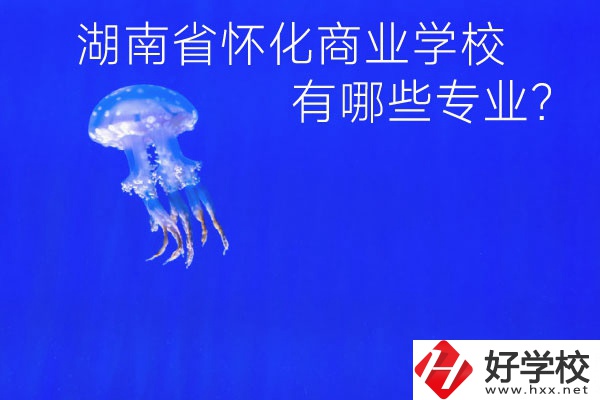 湖南省懷化商業(yè)學校好不好？有哪些專業(yè)？