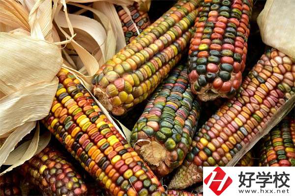 岳陽中職學(xué)校哪些專業(yè)好？有什么學(xué)校推薦？