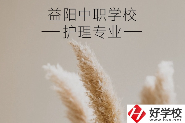 益陽護理專業(yè)的中職學校有哪些？需要哪些要求？