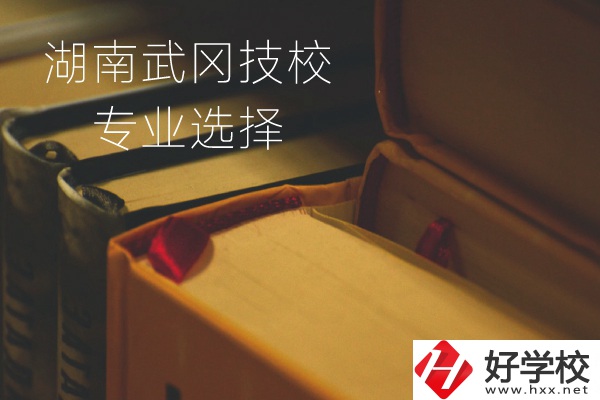 湖南武岡技校怎么樣？有哪些專業(yè)可以選擇？