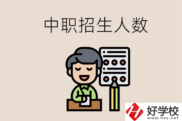 湖南中職學校每年的招生人數是多少？