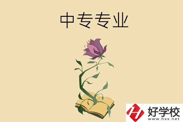 在張家界讀中專，學(xué)什么專業(yè)比較好？